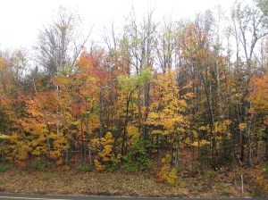 Trip to White Mountains 2 Oct. 8, 2012 039